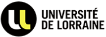 Engineering of the Centre's transfers, <strong>inventory</strong> and monitoring of the University of Lorraine's premises and outbuildings: 80,000 assets on 50 sites and 247 buildings